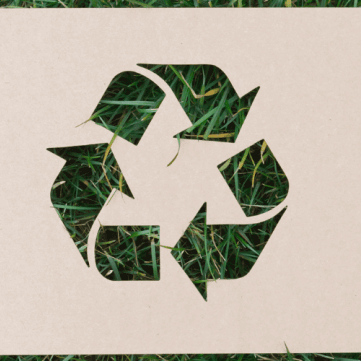 Disposable E-Cigarettes: The Environmental Impact | Fogstar